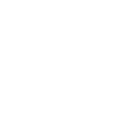 Logo DS Automobiles